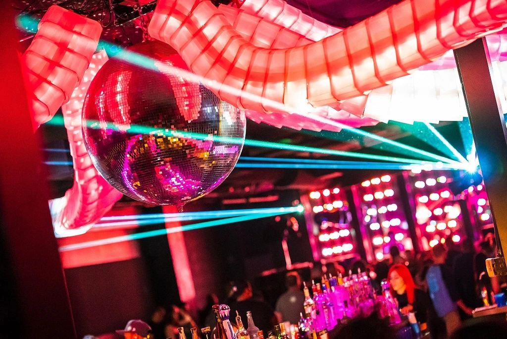 Discopussy